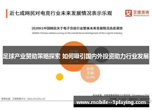 足球产业赞助策略探索 如何吸引国内外投资助力行业发展 足球产业赞助策略探索 如何吸引国内外投资助力行业发展