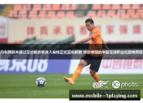 丹东腾跃未通过足协新赛季准入审核正式宣布解散 举步维艰的中国足球职业化困境再现