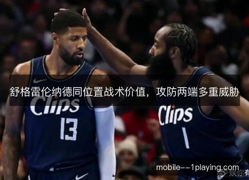 舒格雷伦纳德同位置战术价值，攻防两端多重威胁